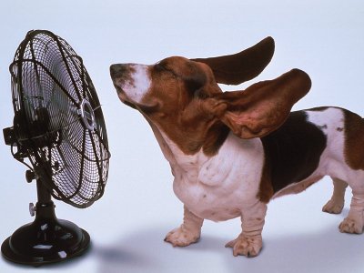 Bryant Heating   Conditioning on Use Less Heat And Air Conditioning